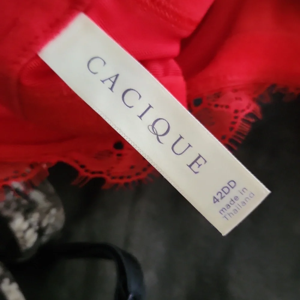 Cacique - Picture 3 of 3